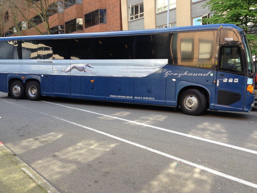 Грейхаунд автобус