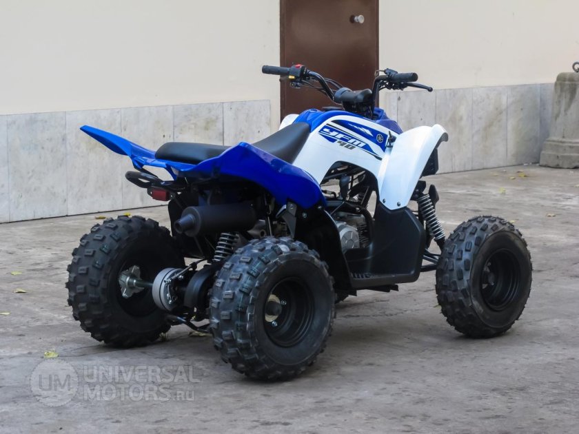 Ямаха Раптор 90