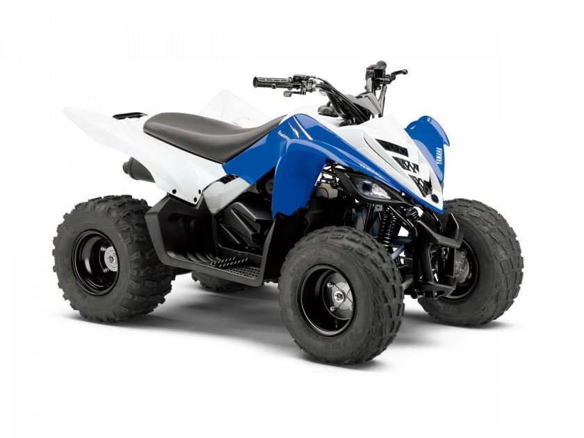 Yamaha Raptor yfm90, 2019