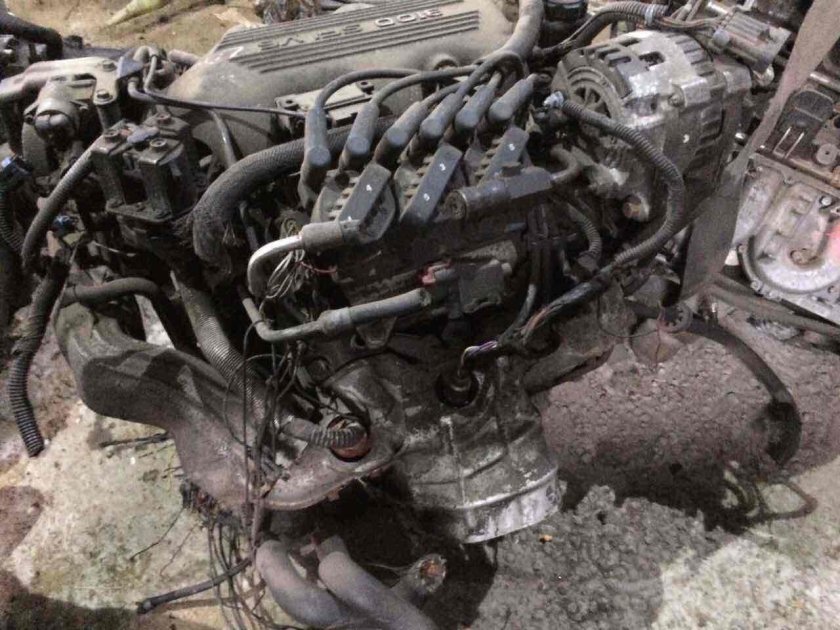 Pontiac engine 3.1