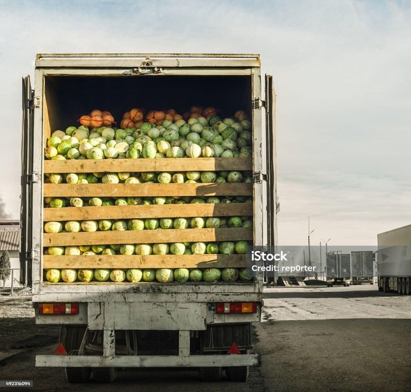 Транспортировка овощей и фруктов