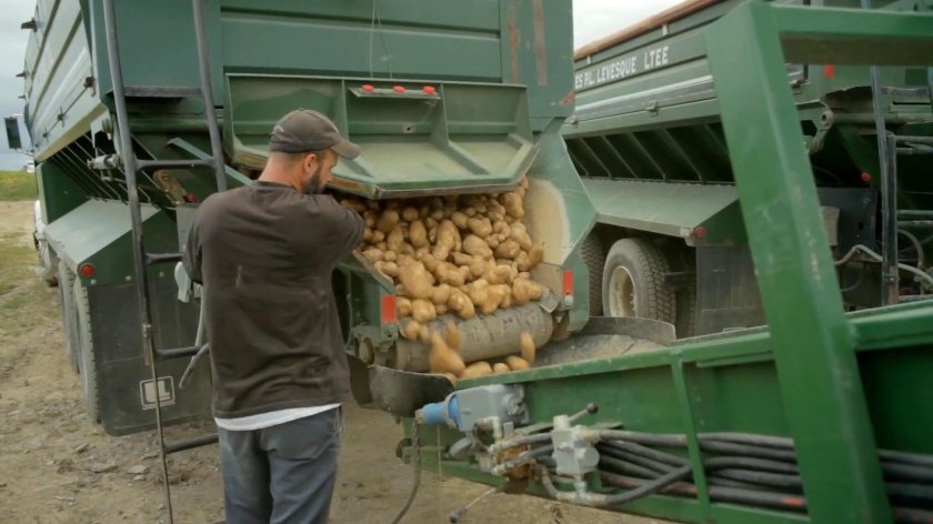 Перевозка картофеля