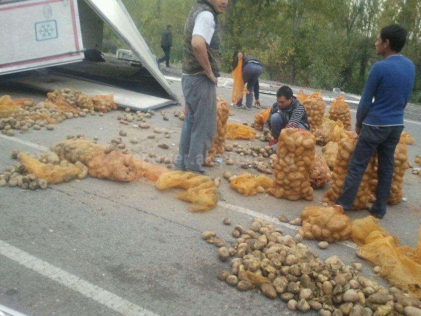 Фура с цыплятами перевернулась