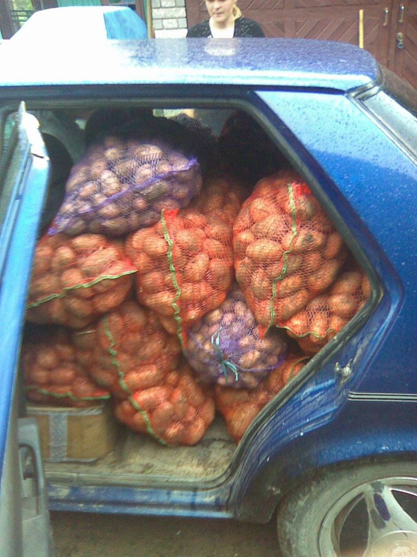 Прицеп с картошкой