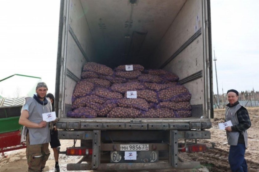 Картофель 20 тонн