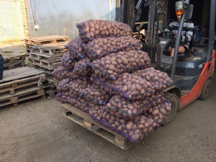Перевозка картофеля