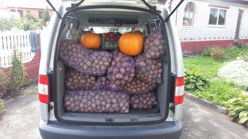 Мешок картошки в багажнике