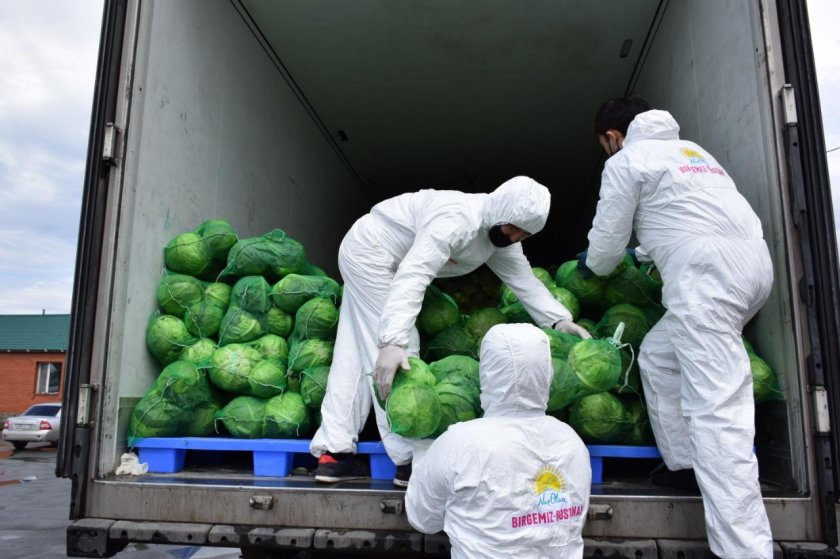 Тонна капусты