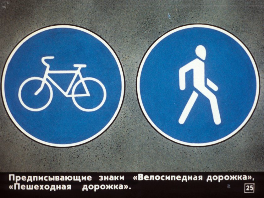 Пешеходная и велосипедная дорожка