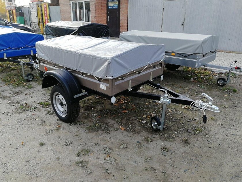 Фото прицеп цинк мастер 2020 года выпуска цена