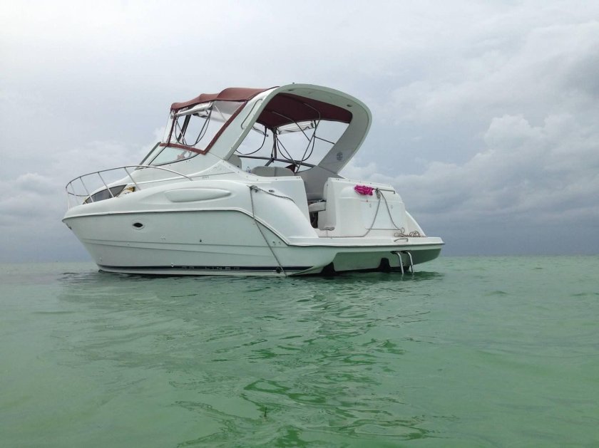 Байлайнер 3055