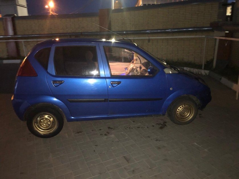 Хафей Лобо 2006