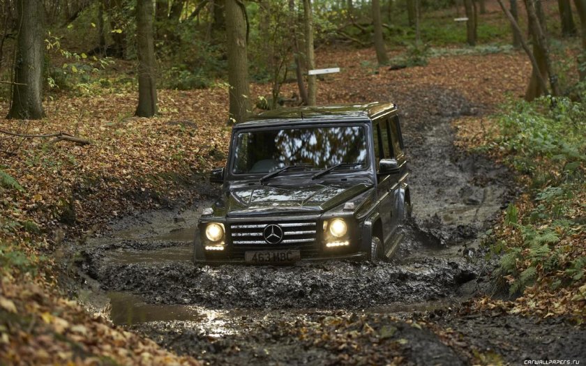 Mercedes-Benz g 350 BLUETEC