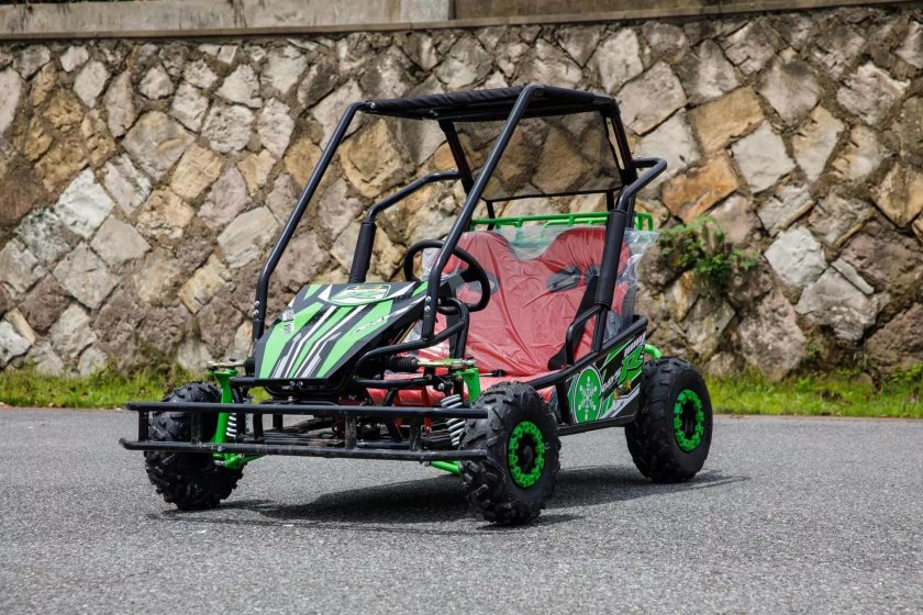 Электро багги scanmoto Rapid