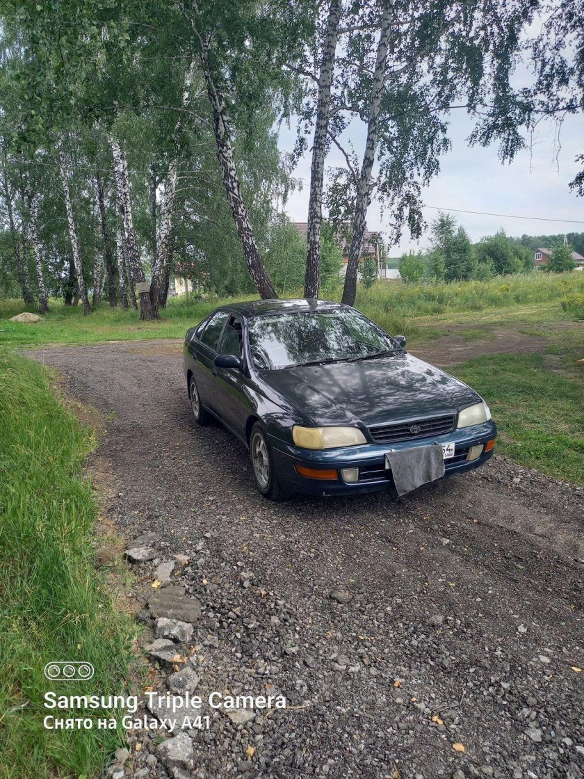 Дром Новосибирская область