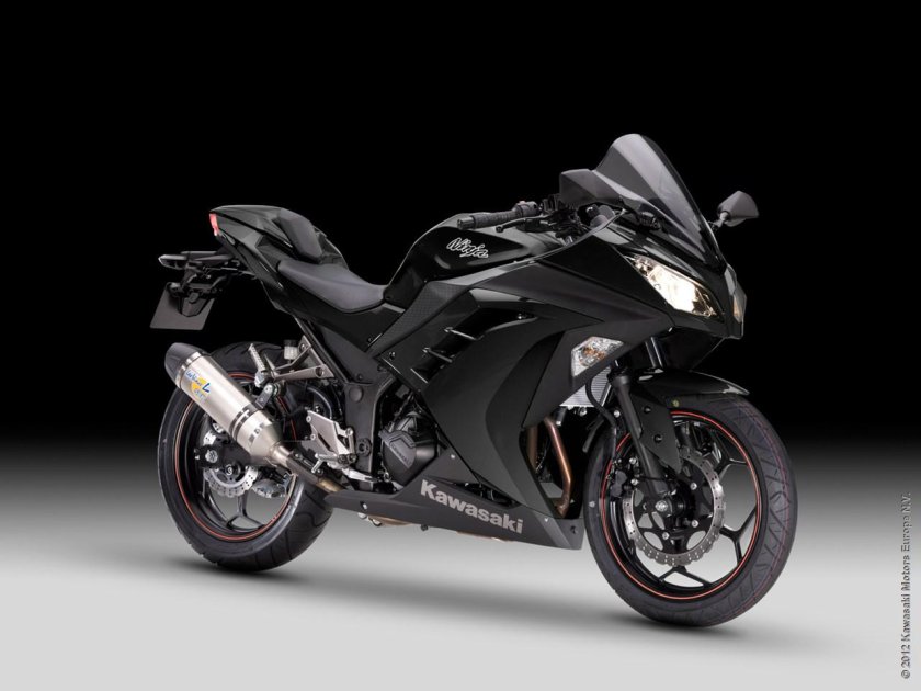 Kawasaki Ninja 300 Black