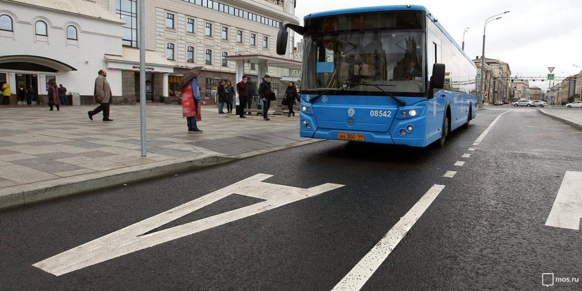 Выделенная автобусная полоса