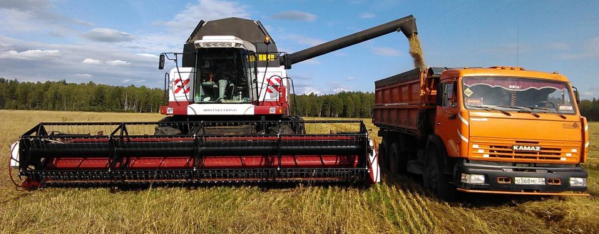 Комбайн и КАМАЗ