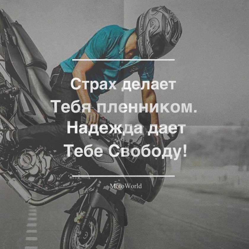 Мото цитаты