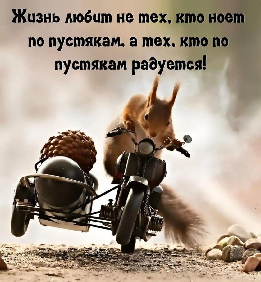 Позитивные картинки со смыслом