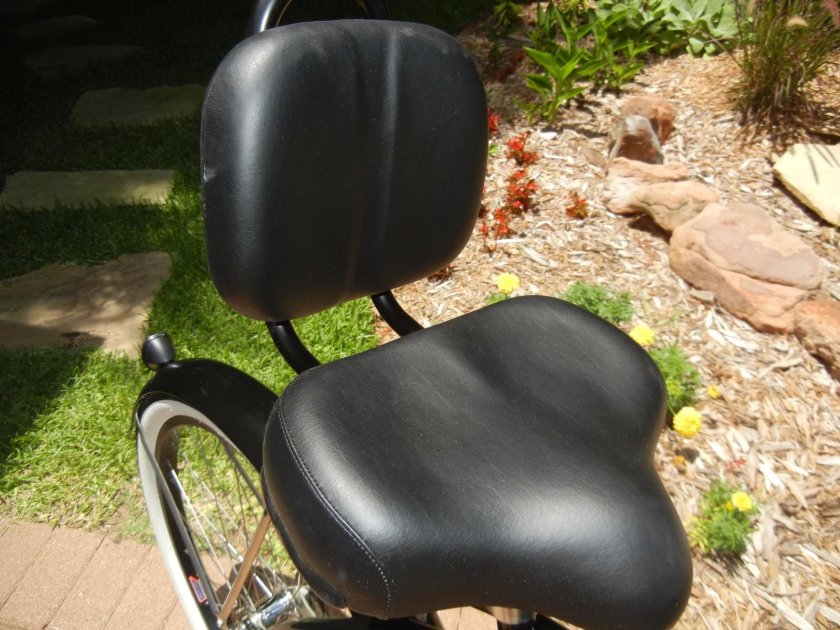 Bike Seat Cruiser