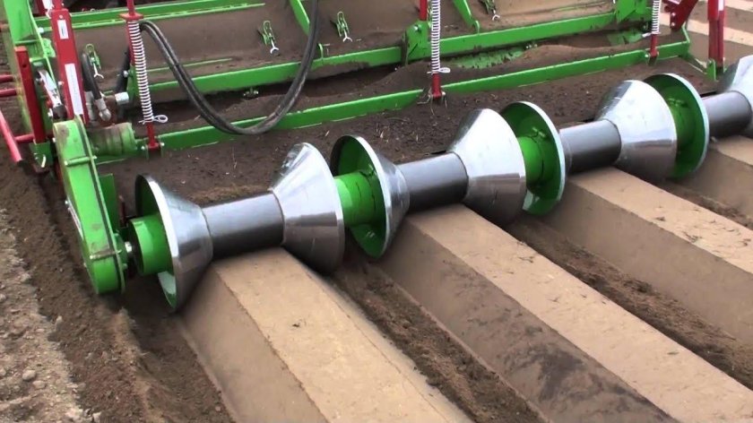 Базильер гребнеобразователь