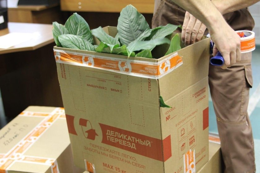 Деликатный переезд хранение