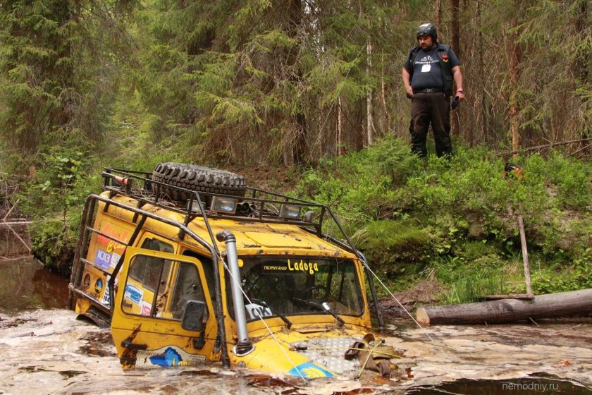 Ладога трофи