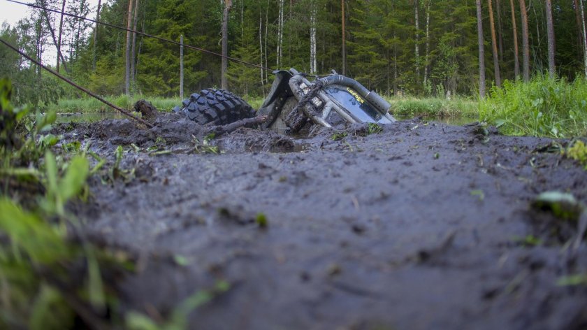 Ладога трофи 2024