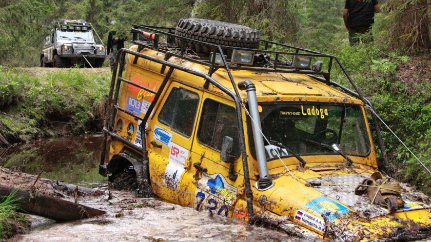 Ладога трофи