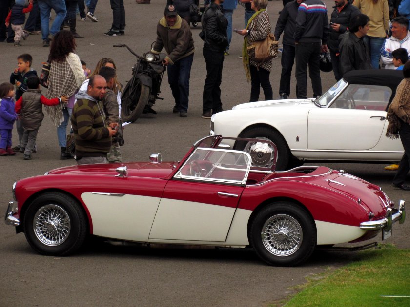 Austin-Healey 100-6