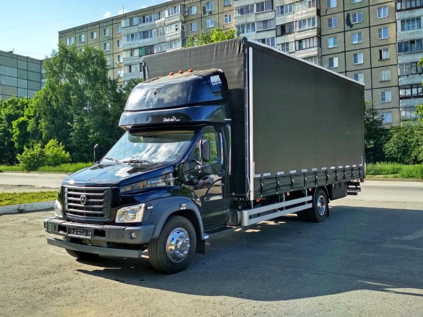 Газон Некст 10