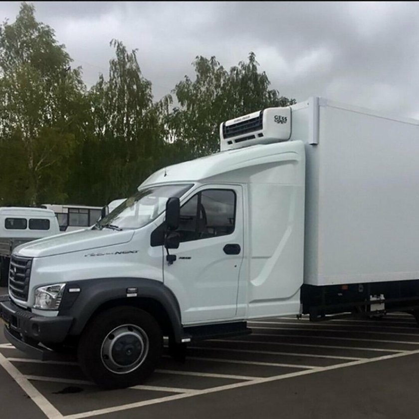 Газон Некст 10