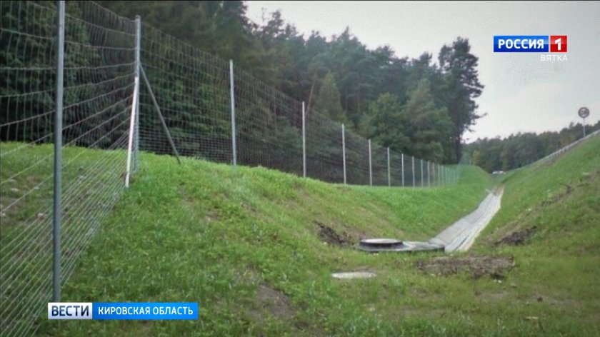 Сетка ДФЛ Лесная