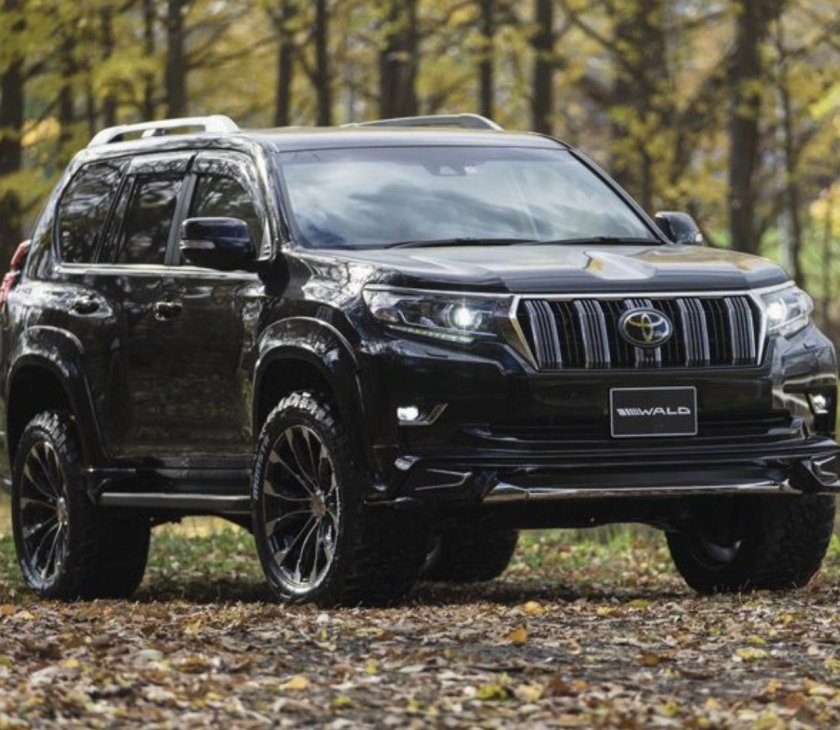 Toyota Land Cruiser Prado 150 Wald
