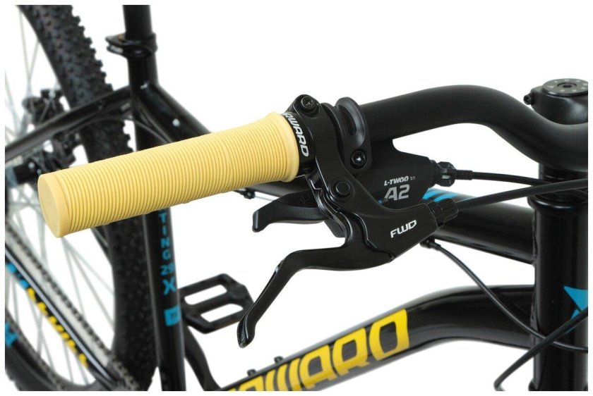 Forward Sporting 29 x