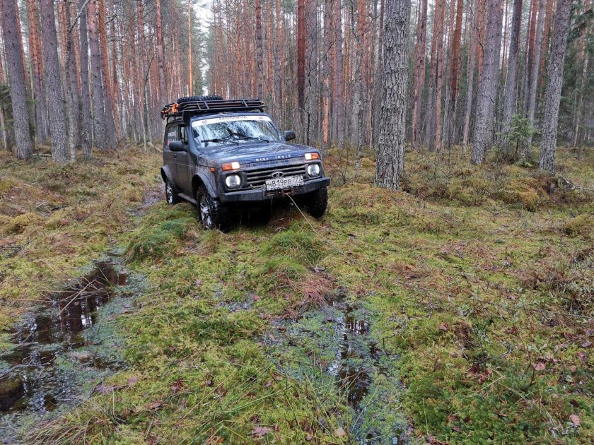 Нива по болоту