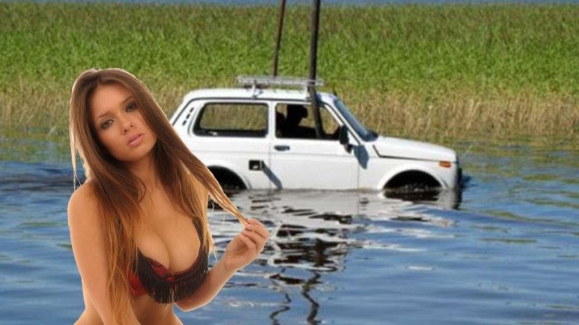 Нива амфибия