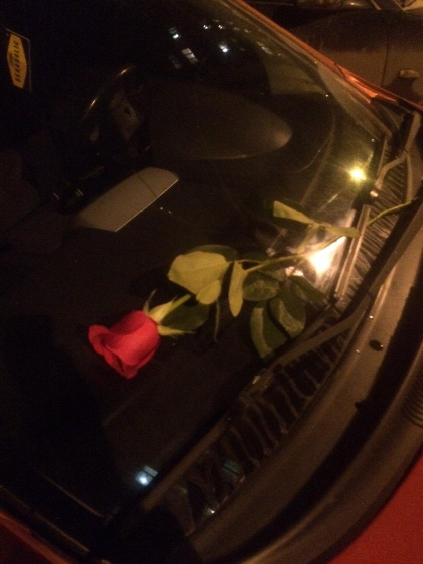 Букет роз на капоте машины ночью