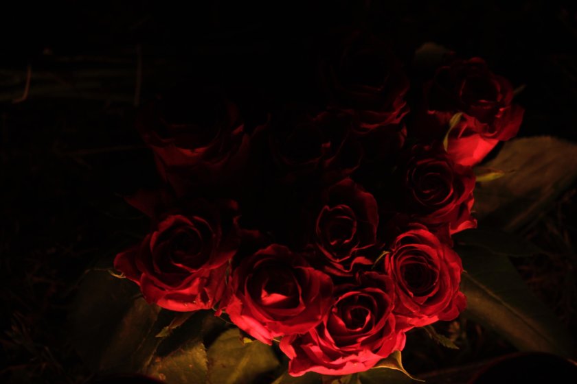 Букет цветов в темноте