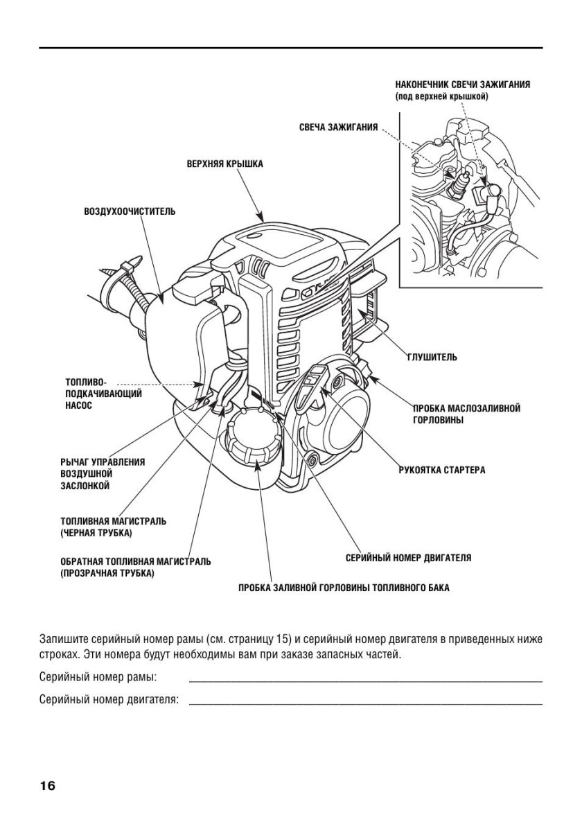 Устройство двигателя триммера бензинового схема