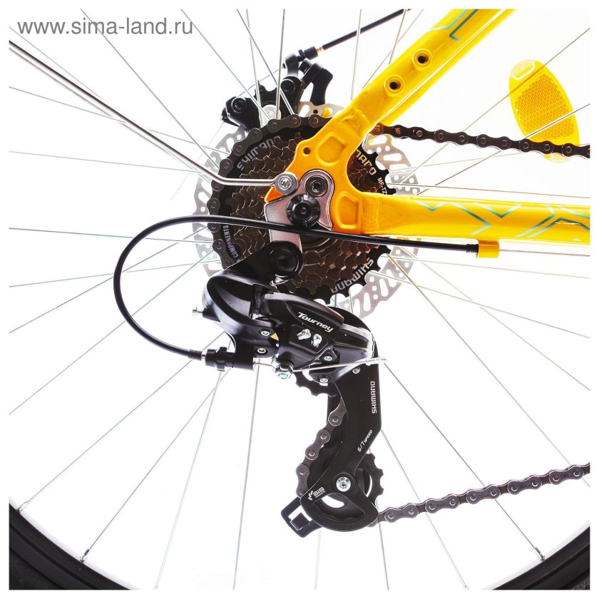 Forward Tracer 2.0 Disc