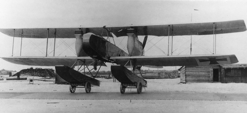 Albatros w 3