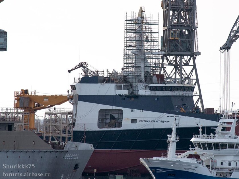 ОИС Евгений Горигледжан