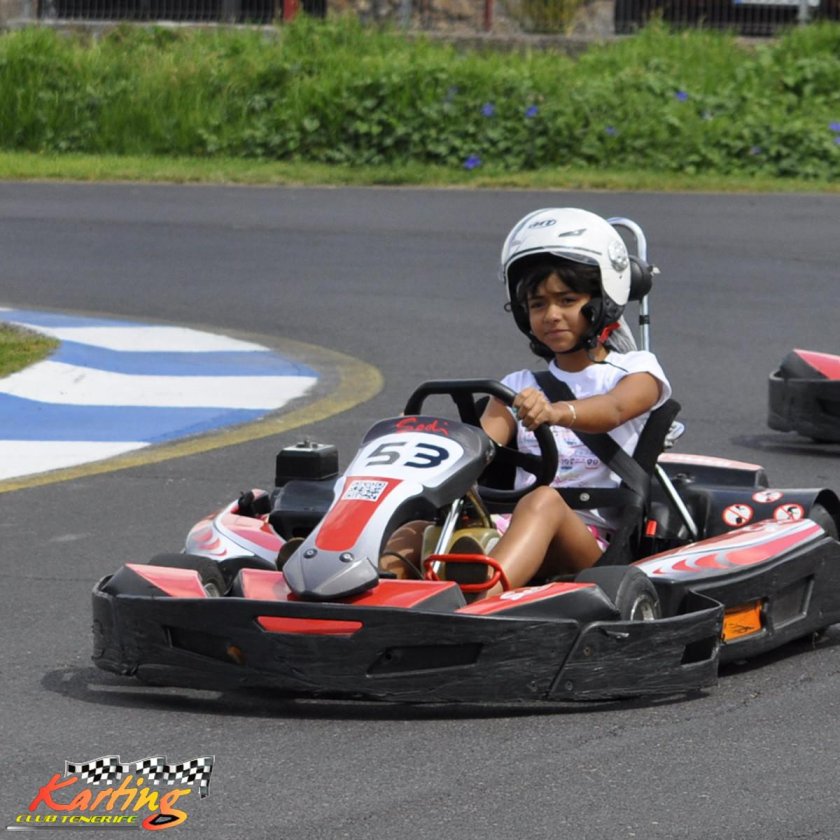 Алексей Моисеев картинг