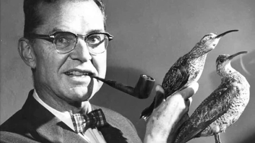 Джеймс Бонд орнитолог