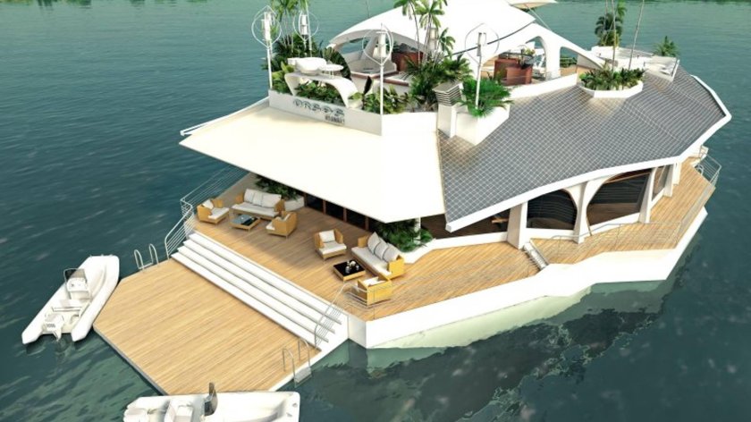 Хаусбот тримаран