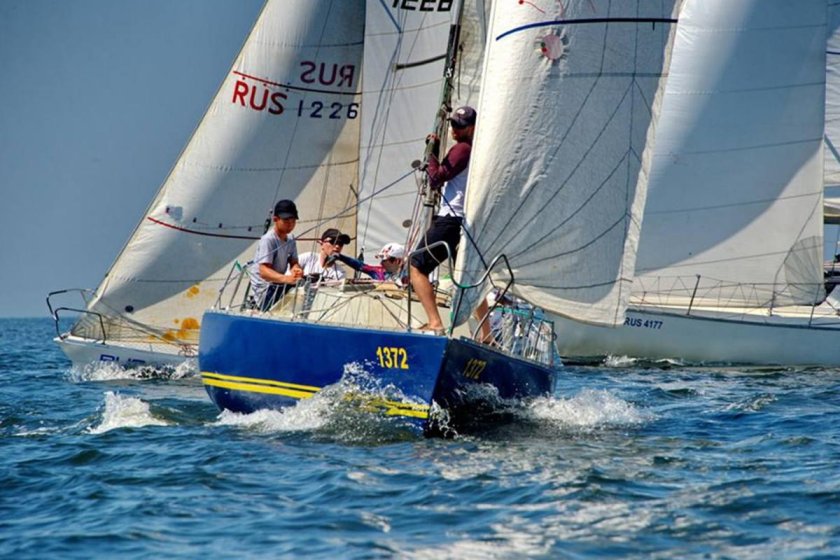 Парусная регата Сидней