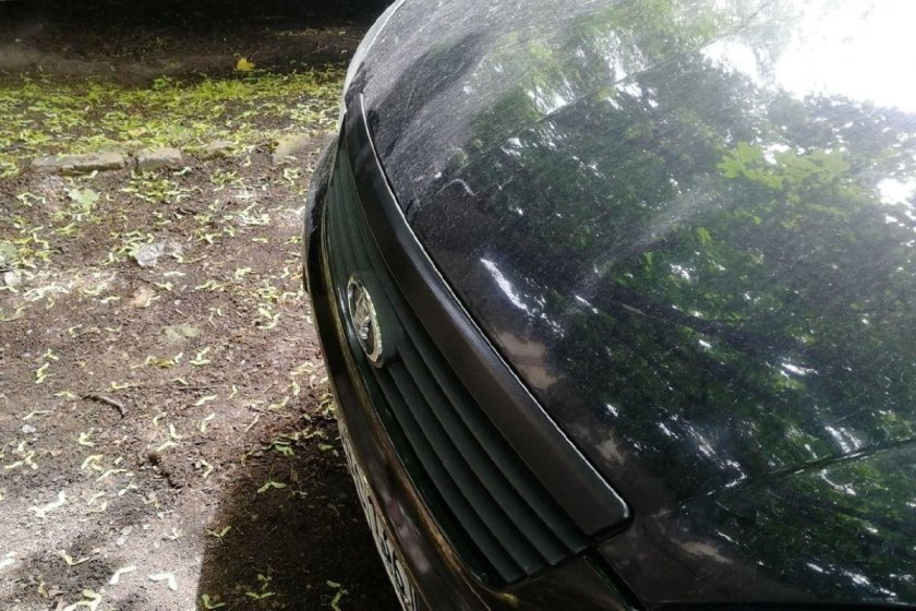 Молдинг капота ВАЗ 2170 черный