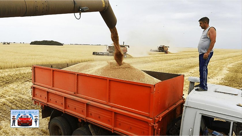 КАМАЗ С зерном